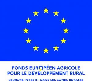 LOGO FEADER QUADRI