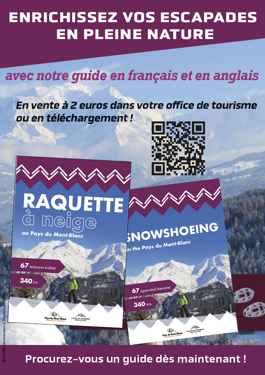 Affiche_Raquette_Neige